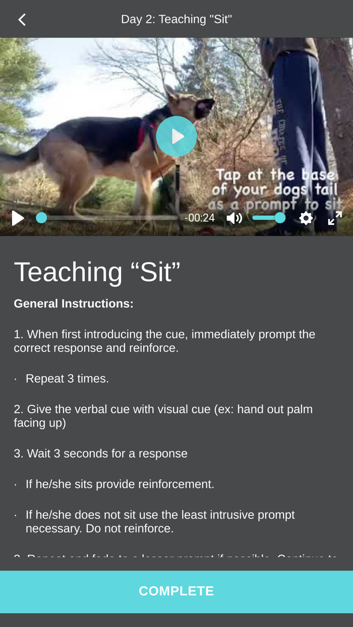 Pawsome Behavior Dog Training