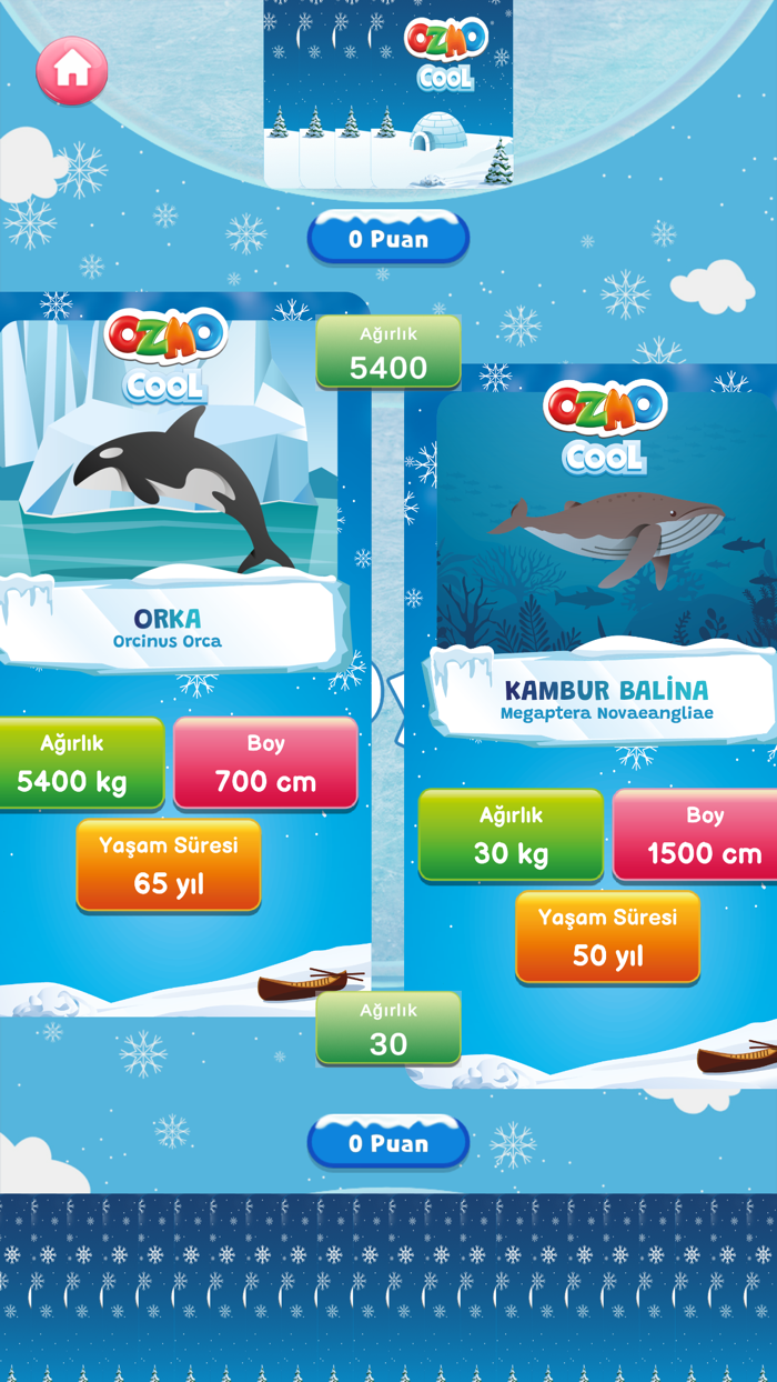 Ozmo Cool Kutup Macerası