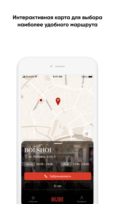 Bolshoi’s Friends Screenshot