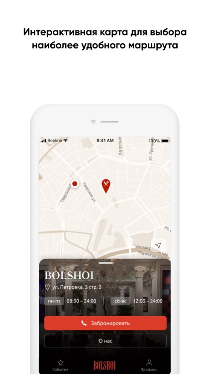 Bolshoi’s Friends screenshot-3