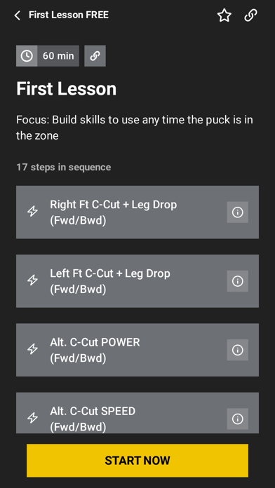 Ovation Goaltending Screenshot