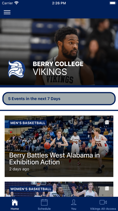 Berry Vikings Screenshot