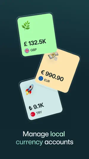 3S Money screenshot 2