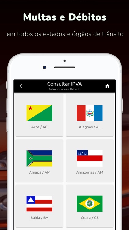 Consulta Placa - Débito, Multa screenshot-5