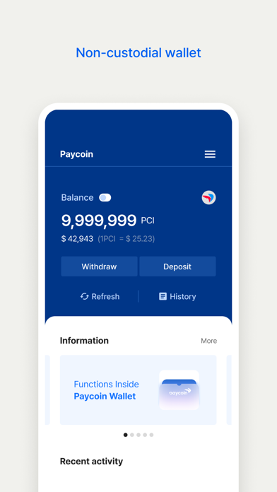 Paycoin Global Wallet Screenshot