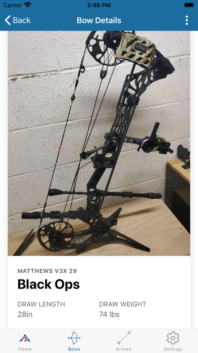 Archery Pursuit Screenshot