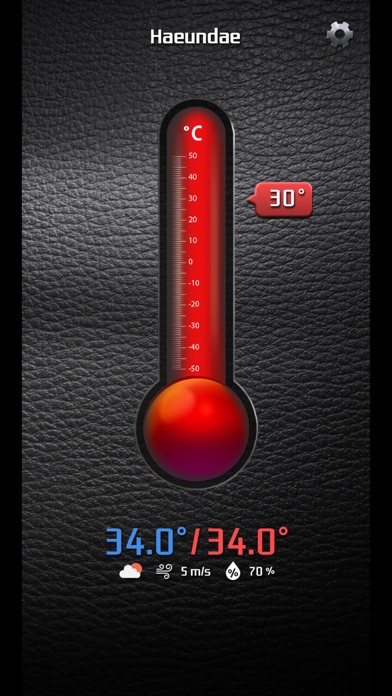 Simple Thermometer Screenshot