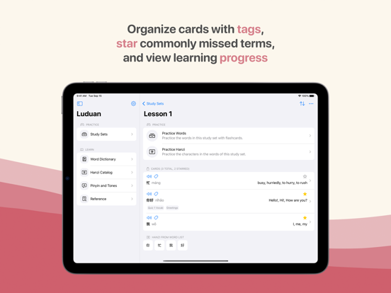 Luduan iPad screenshot 4 - Education app