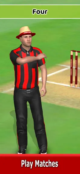 Game screenshot Cricket World Domination apk