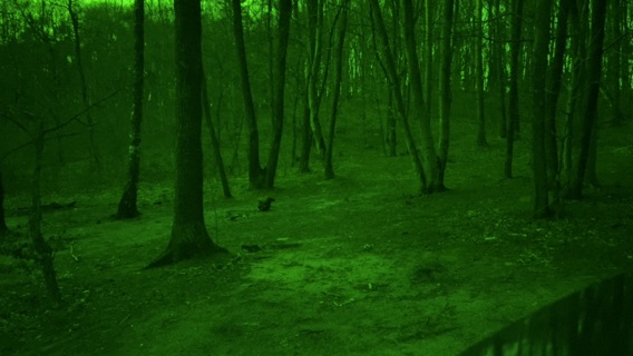 Green Nightのおすすめ画像5