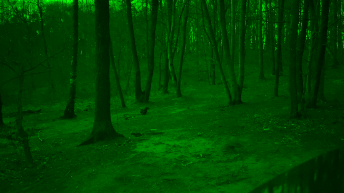 Green Night
