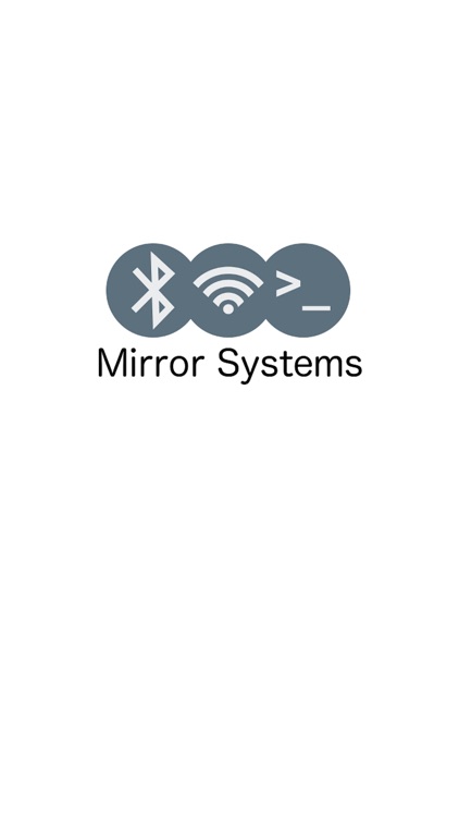 MirrorSystems