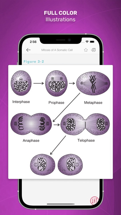Current Diag & Treat. Ob & Gyn