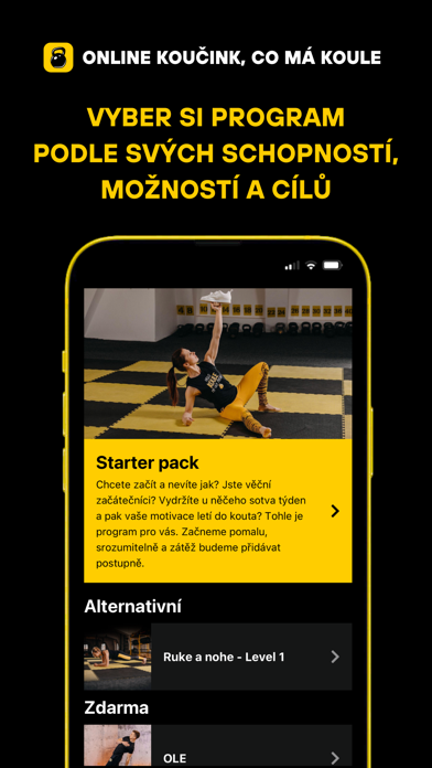 Online koučink Screenshot