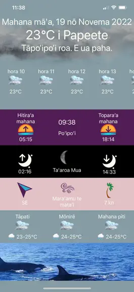 Game screenshot Ra'i mod apk