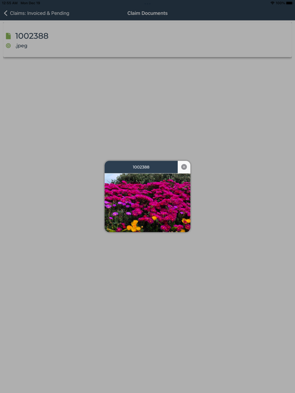 Screenshot #6 pour Make A Claim - BeneFitsMyWay