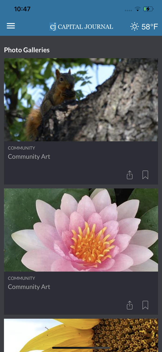 Pierre Capital Journal