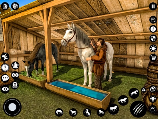 Shelter Horse - Star Stallion