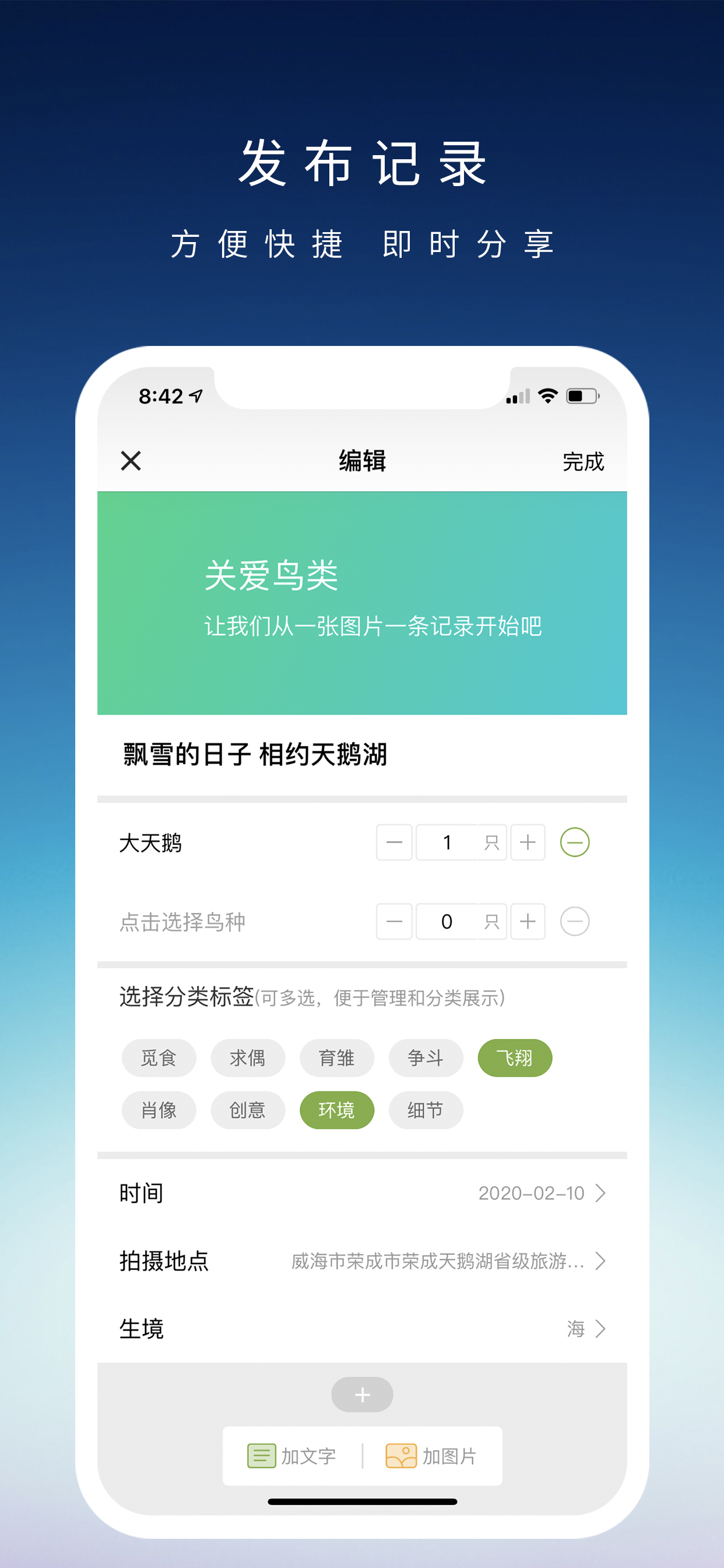 爱鸟国际