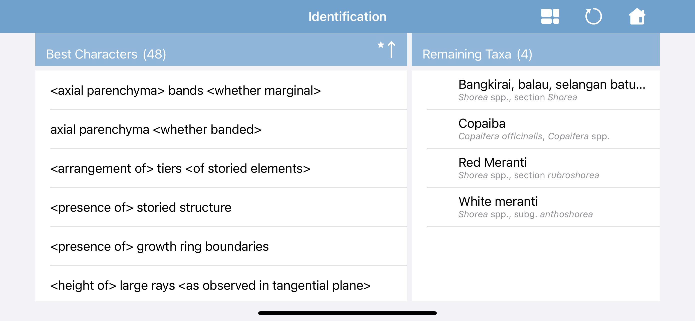 macroHOLZdata