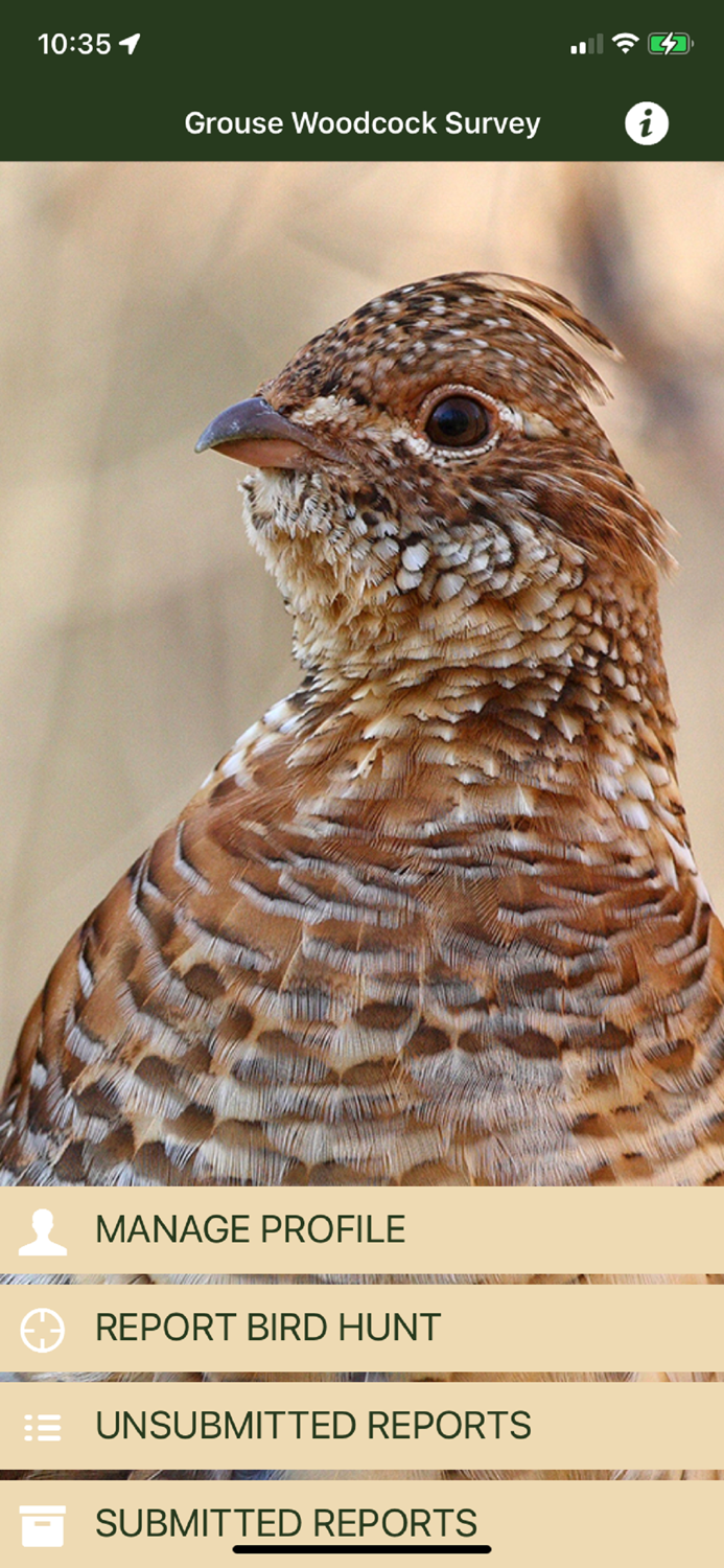 Grouse Woodcock Survey