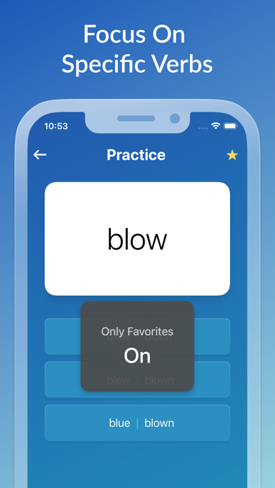 English Verbs Master Screenshot