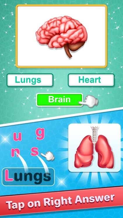 Human Body Parts Kids Learning