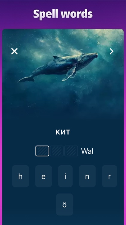 OkyDoky - Language Courses screenshot-6