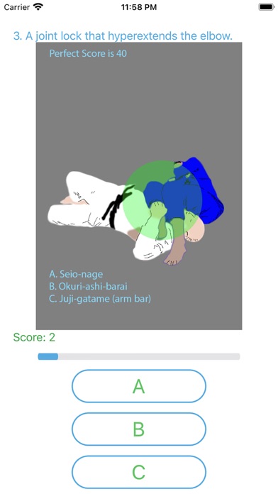 BJJ Quiz Screenshot