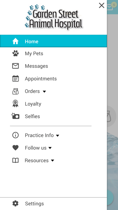 Garden Street Vet Screenshot