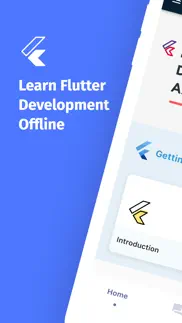 learn flutter development pro problems & solutions and troubleshooting guide - 4