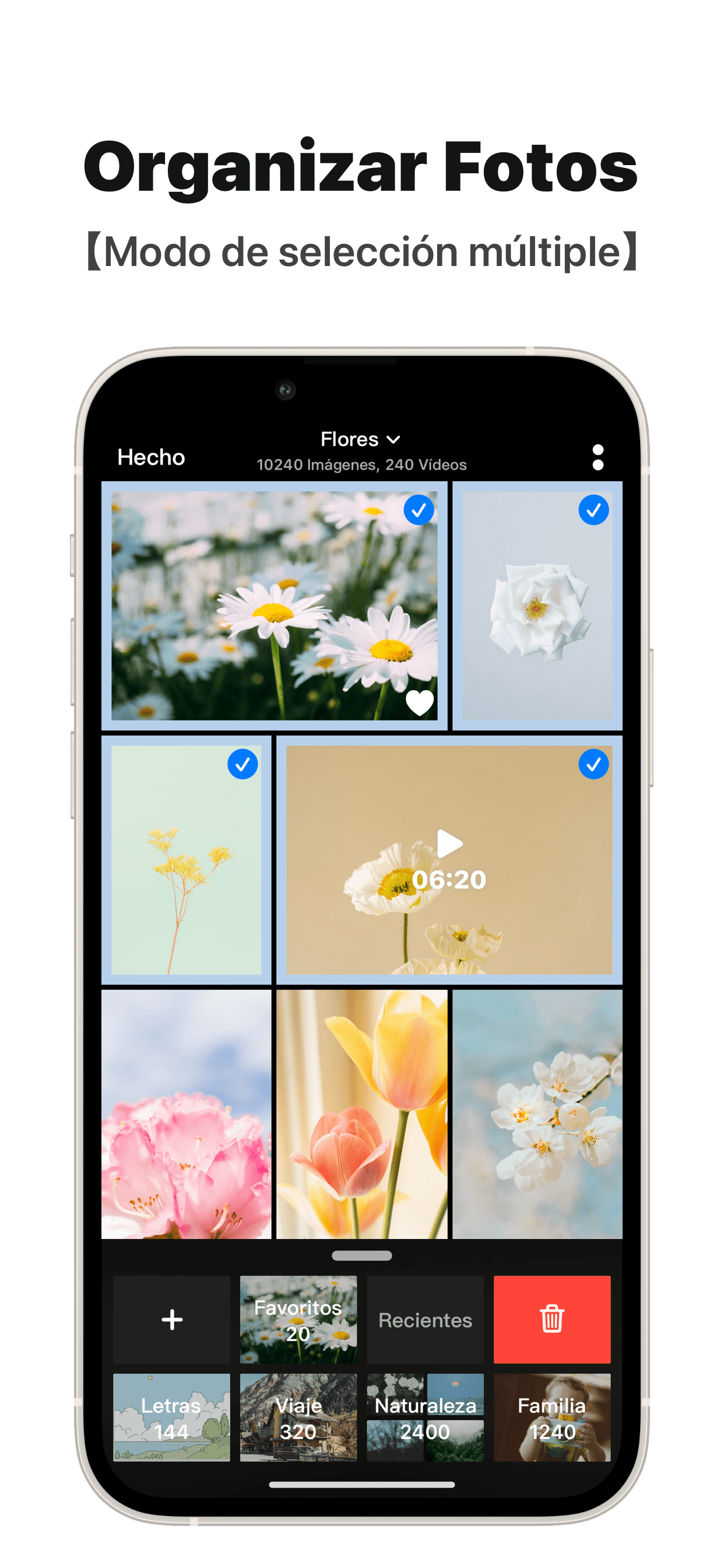 Picbook - Galería
