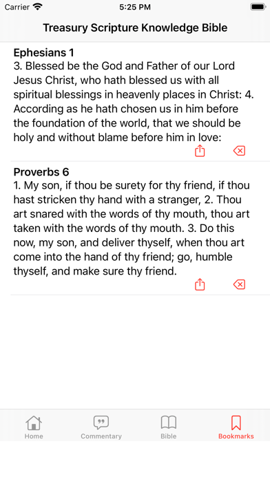 TSK Bible Commentary Screenshot