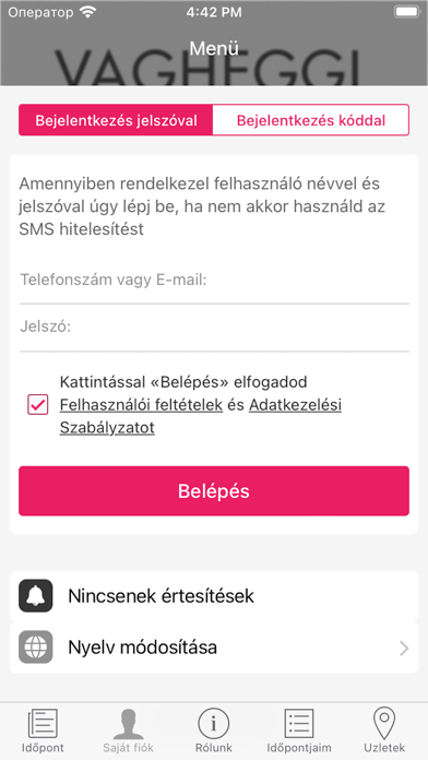 VAGHEGGI SZÉPSÉGSZALONOK Screenshot