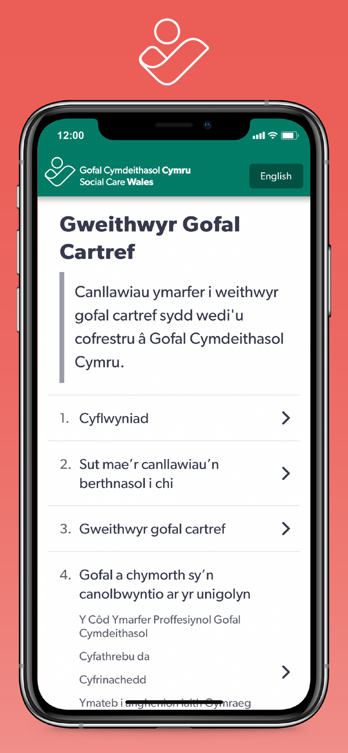 The Domiciliary Care Worker