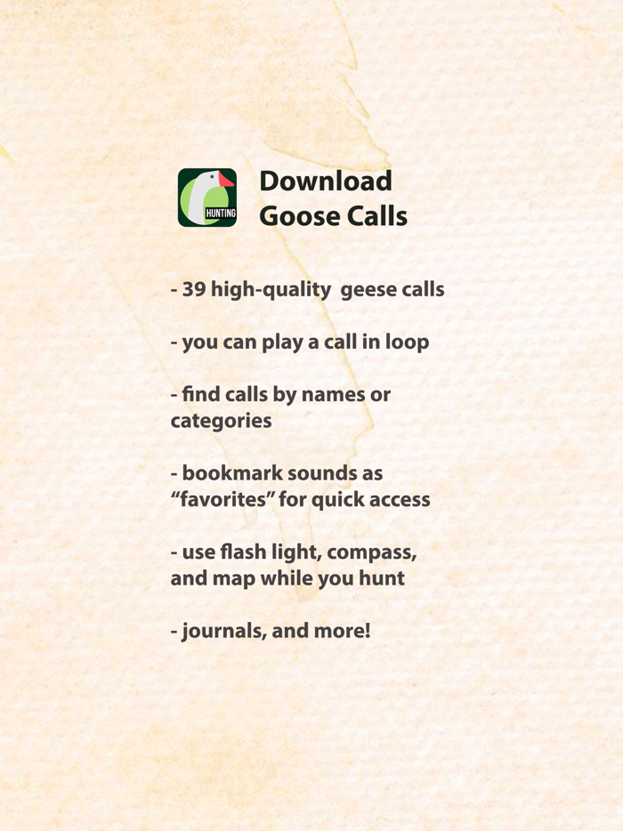 Hunting Calls for Goose