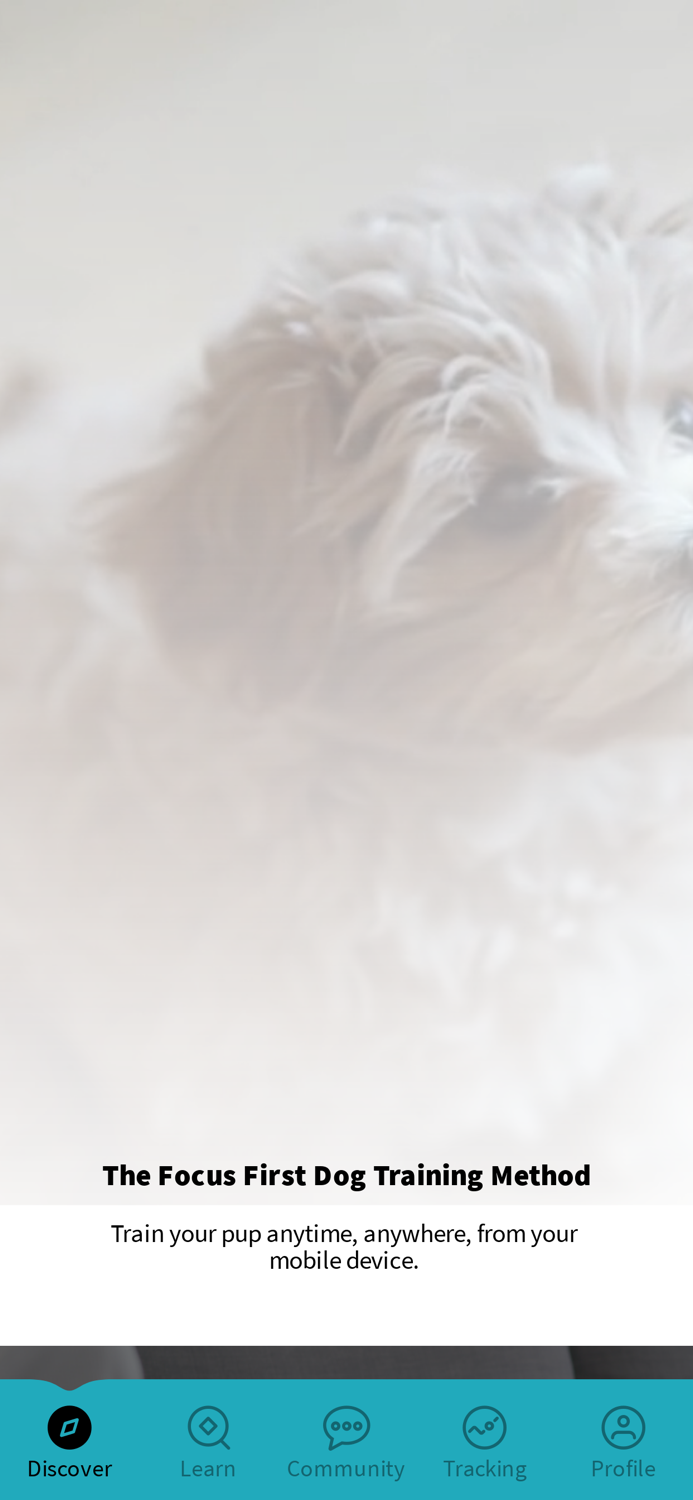 Pawsome Pups Academy