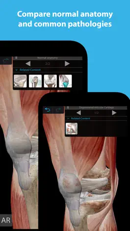 Game screenshot Muscles & Kinesiology apk