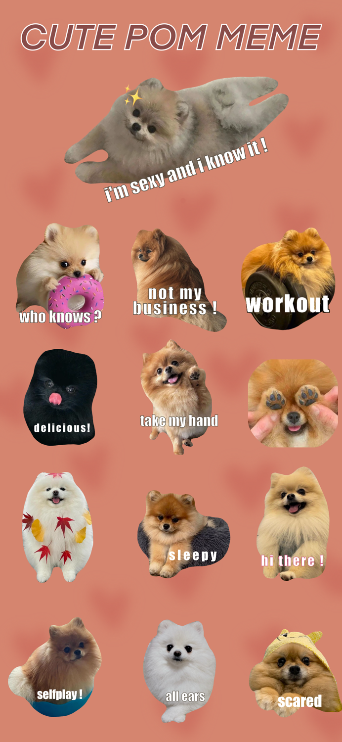 Cute Pom Meme