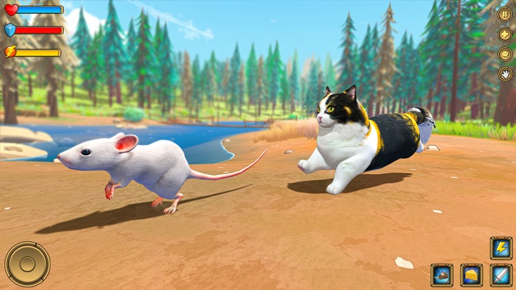 Jerry Mouse Rat Life Simulator