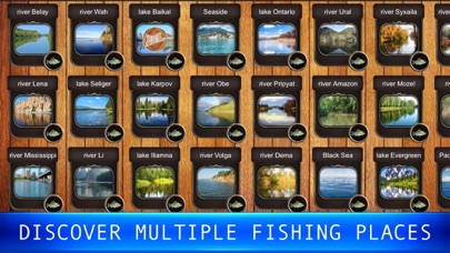 Fish Rain: fishing simulator Screenshot