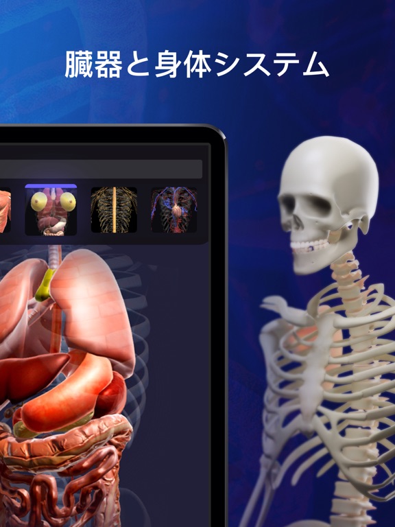解剖学 アトラス：人体模型と骨格診断のおすすめ画像2