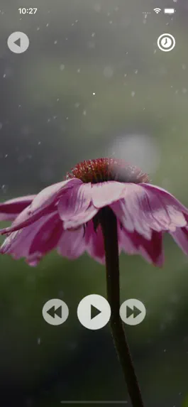 Game screenshot Dark Sky Relaxing Rain Sounds hack