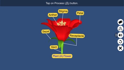 Screenshot #2 pour Pollination in Plants