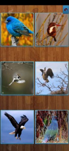 Birds Jigsaw Puzzles - Titan screenshot #2 for iPhone