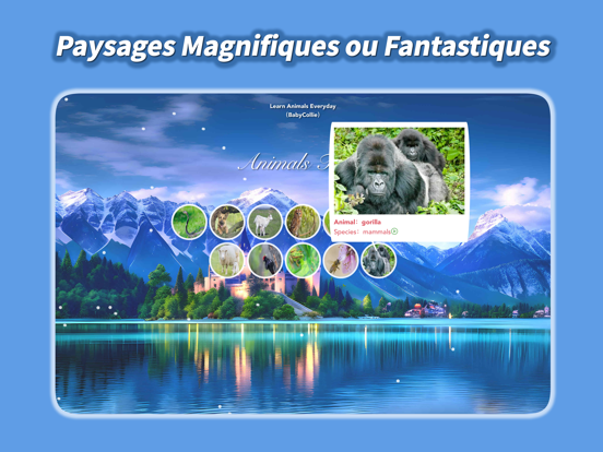 Screenshot #5 pour BabyCollie:200 Animaux Oiseaux