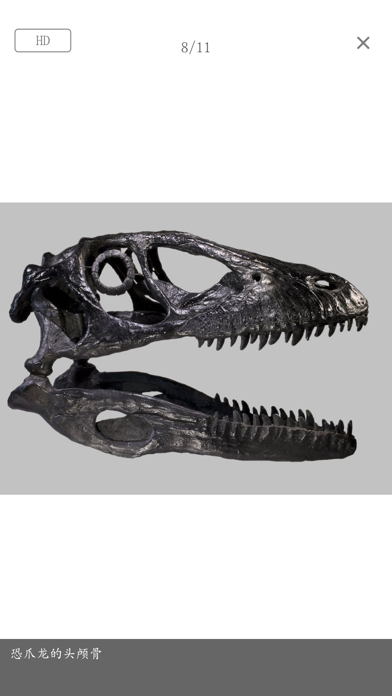 Dinopedia -kids' dinosaur park Screenshot