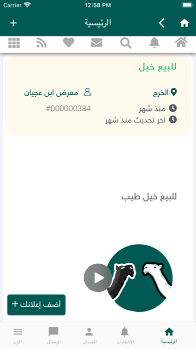 منصة الإبل Screenshot