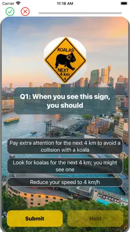 Game screenshot Driver Knowledge Test :  NSW hack