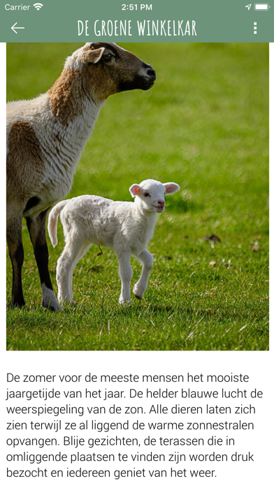 De Groene Winkelkar Screenshot